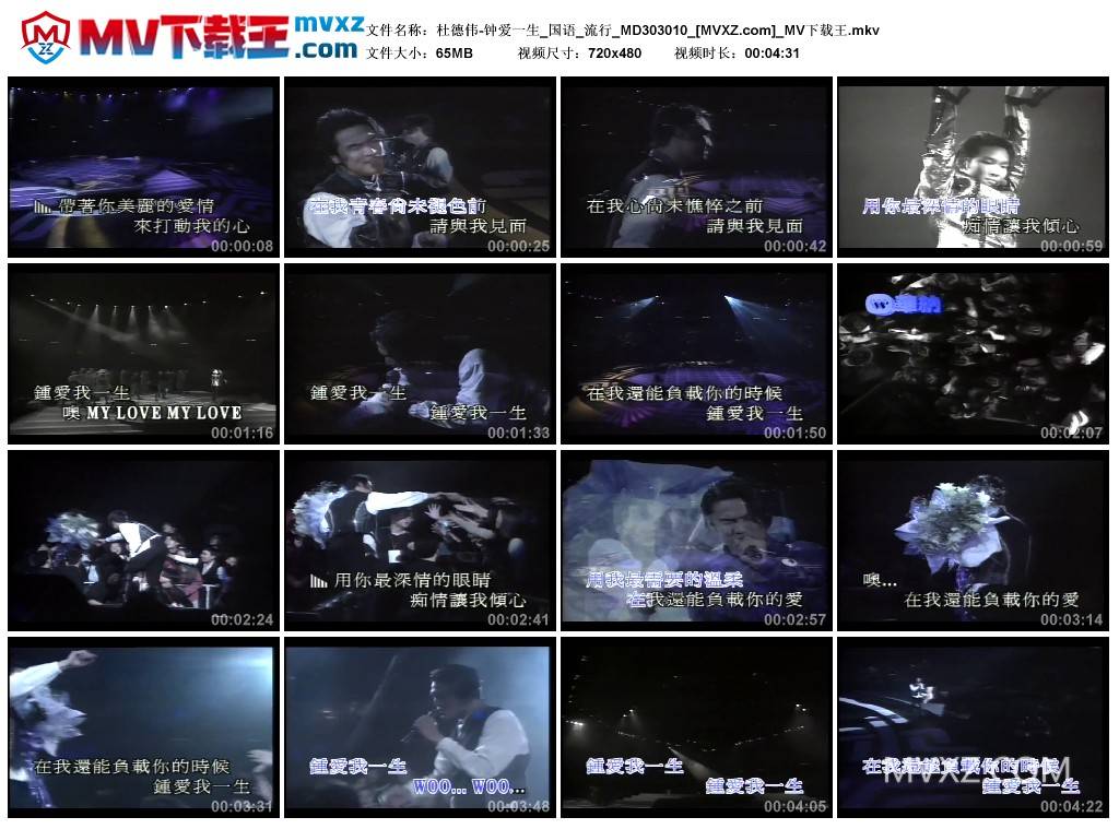 杜德伟-钟爱一生_国语_流行_MD303010